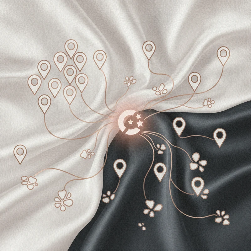 Local SEO results for Precision Laser Clinic, Sharjah